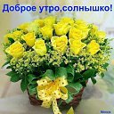 ���� ��������, ��������, 67 ��� - ��������� 24 ������ 2016 � ������ ���������