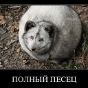 ���� Gad�, ������ - ��������� 7 ������� 2015 � ������ ���� ����������