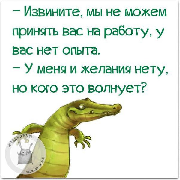   - 28  2016  15:43