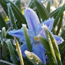 ���� ������, ��������, 55 ��� - ��������� 28 �������� 2015 � ������ ���� ����������