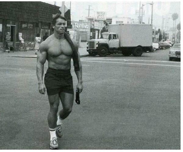 ������� ����� ����������, 1980 ���