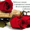 ���� �����, ������ ��� - ��������� 24 ������� 2015 � ������ ������ ��������