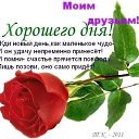 ���� �����, ������, 36 ��� - ��������� 8 ������ 2015 � ������ ������ ��������