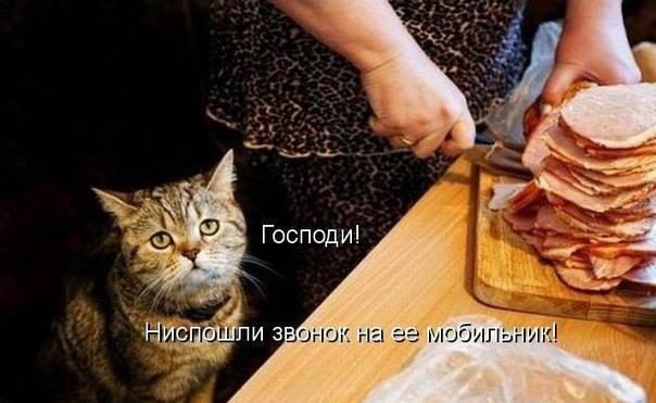  -  - 6  2016  16:28