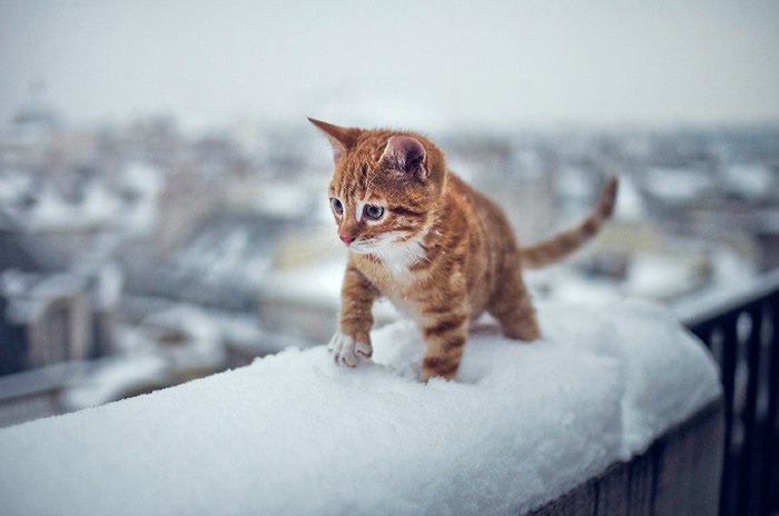 ,    !!!)))