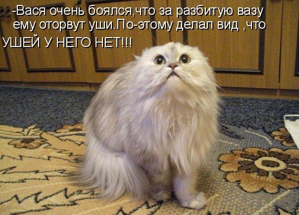       - 2  2015  17:03