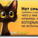 ���� �������, ������, 59 ��� - ��������� 11 ������ 2016 � ������ ���� ����������