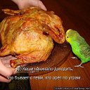 ���� ������, ������, 46 ��� - ��������� 27 ������� 2015 � ������ ���� ����������