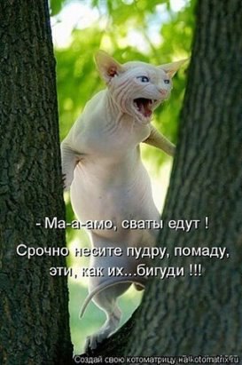 -    ? -     ?