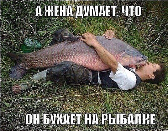   - 24  2015  02:13