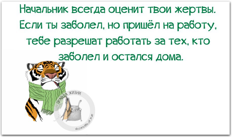   - 3  2015  23:13