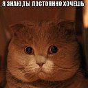 ���� �����, ������ - ��������� 13 ������� 2016 � ������ �FREAKS)�