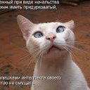 ���� ̳�, ����, 48 ��� - ��������� 5 ������ 2015 � ������ ������ ��������