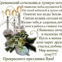 ���� �������� �������������, ����, 41 ��� - ��������� 18 ������ 2016 � ������ ������ ��������