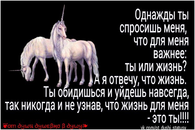   - 17  2016  11:55