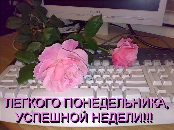   - 30  2015  11:56