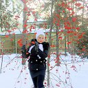  ,  -  31  2016     .....