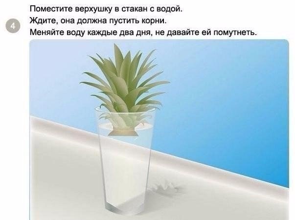 ��� ��������� ������ � �������� ��������? - 4
