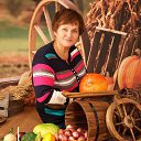 ������� 2015 �� ������� ���� ����������