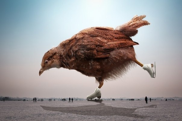        (John Wilhelm) - 7