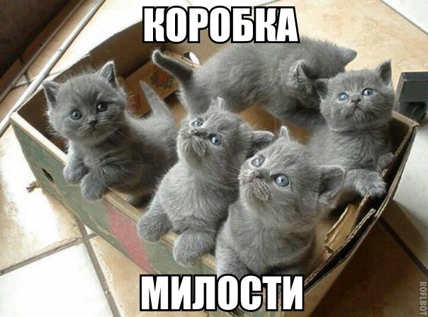 �������� �������� - 20 ������� 2015 � 21:38