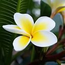 ���� ����, ������, 44 ���� - ��������� 2 ������� 2015 � ������ ���� ����������