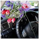 ���� ����, ��������, 68 ��� - ��������� 24 ������� 2015 � ������ ������ ��������