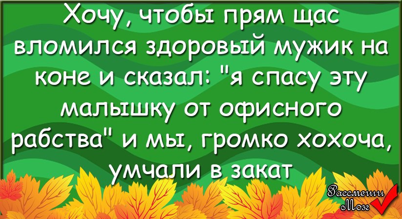 #@roz_moz