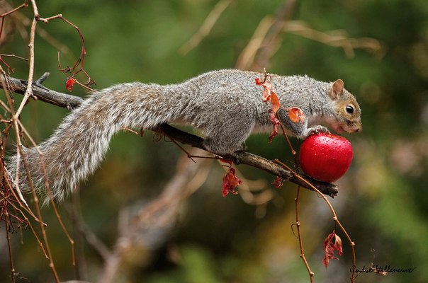   - 16  2015  18:09 - 4