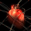 ���� Zm, ������ - ��������� 17 ������� 2016 � ������ ���� ����������