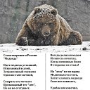 ���� �������, ������ - ��������� 4 ����� 2016 � ������ ������ ��������