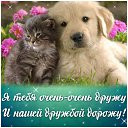 ���� ����, ������, 54 ���� - ��������� 16 ������ 2015 � ������ �������� ��������