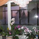 ���� ��������, ���������, 76 ��� - ��������� 17 ������ 2016