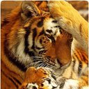 ���� �����, ������� �������� - ��������� 5 ������ 2016 � ������ ���� ����������