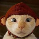  , -, 57  -  25  2015    