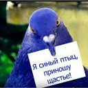  , - -  27  2015    