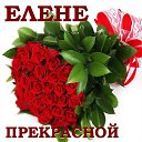 ���� �����, ��������, 61 ��� - ��������� 10 ������� 2015 � ������ ���� ����������