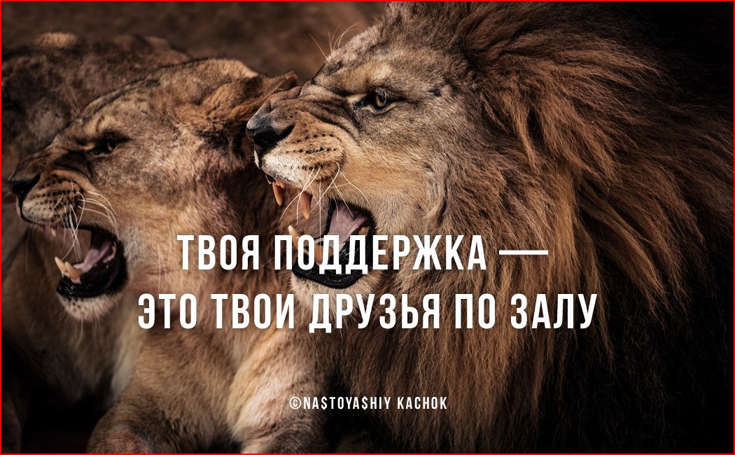        ! https://fotostrana.ru/away?to=/sl/luS
