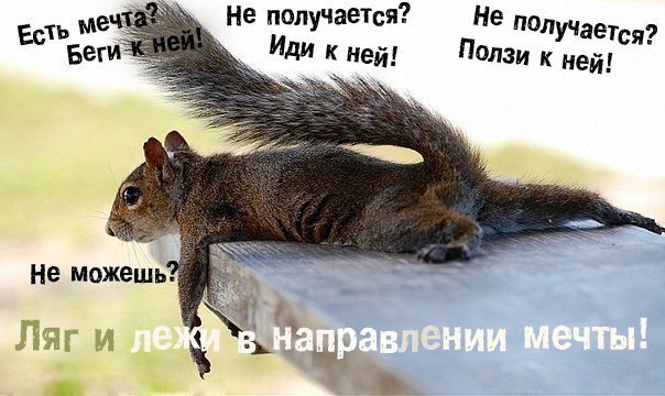  - 29  2015  15:14