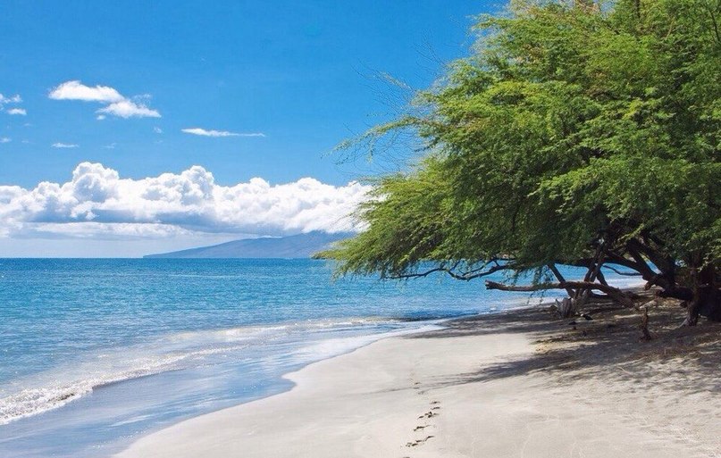 ��������� �� �� ����� �� ���� ������ ������! - 6