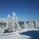 ���� ������, �����������, 68 ��� - ��������� 3 ����� 2016 � ������ ���� ����������