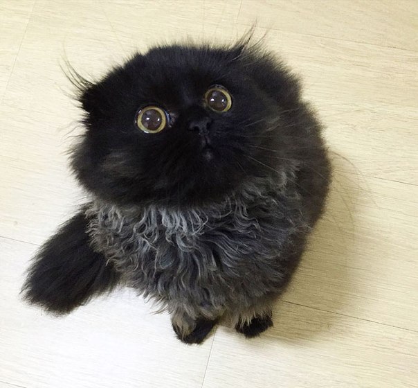     - !      :)