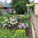 ���� ������, ����������, 81 ��� - ��������� 19 ������ 2015 � ������ �2015�