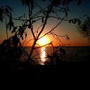  ,  , 61  -  25  2015    