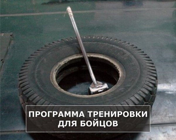 ВАРИАНТ ПРОГРАММЫ ТРЕНИРОВКИ для БОЙЦОВ. 1. Работа с собственным весом: подтягивание на перекладине ...