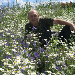 ���� ��������, ��������, 62 ���� - ��������� 8 ����� 2016