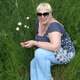 �������, ������, 66 ���