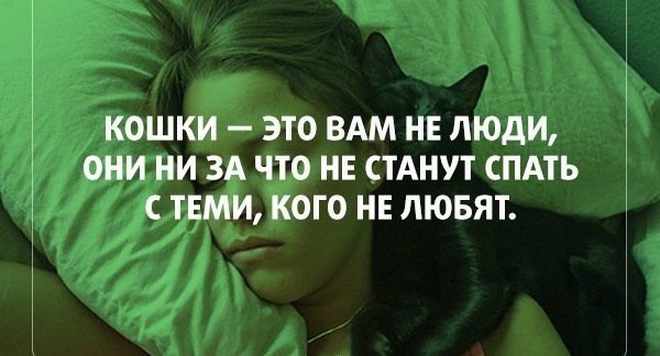    - 11  2015  09:16