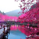 ���� ������, ���������, 69 ��� - ��������� 9 ������� 2015 � ������ ������ ��������