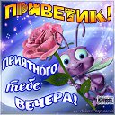 ���� �������, ��� - ��������� 9 ������� 2015 � ������ ������ ��������
